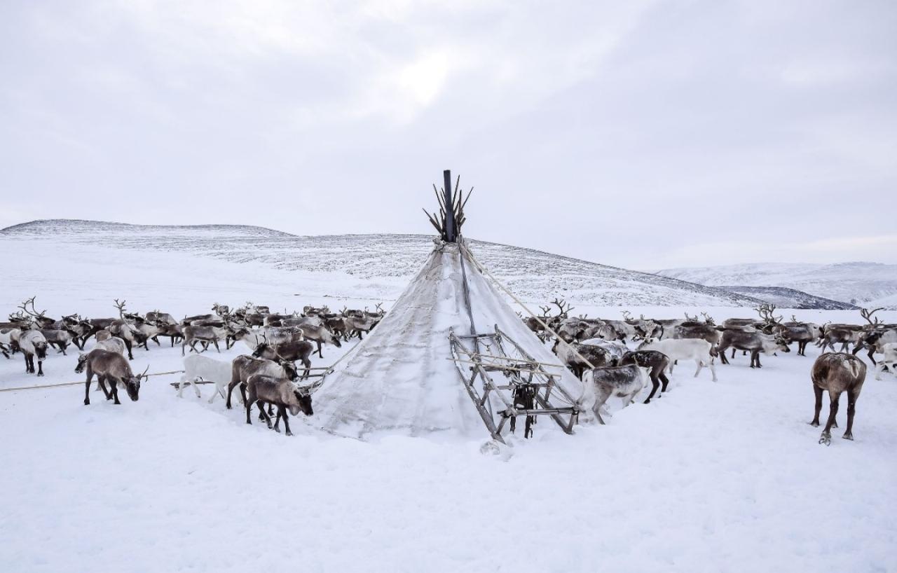 Where To Find Unique Local Experiences When Traveling