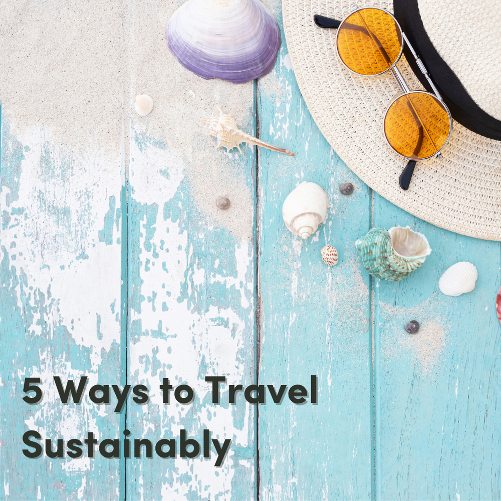 Ways To Travel Sustainably And Responsibly Today