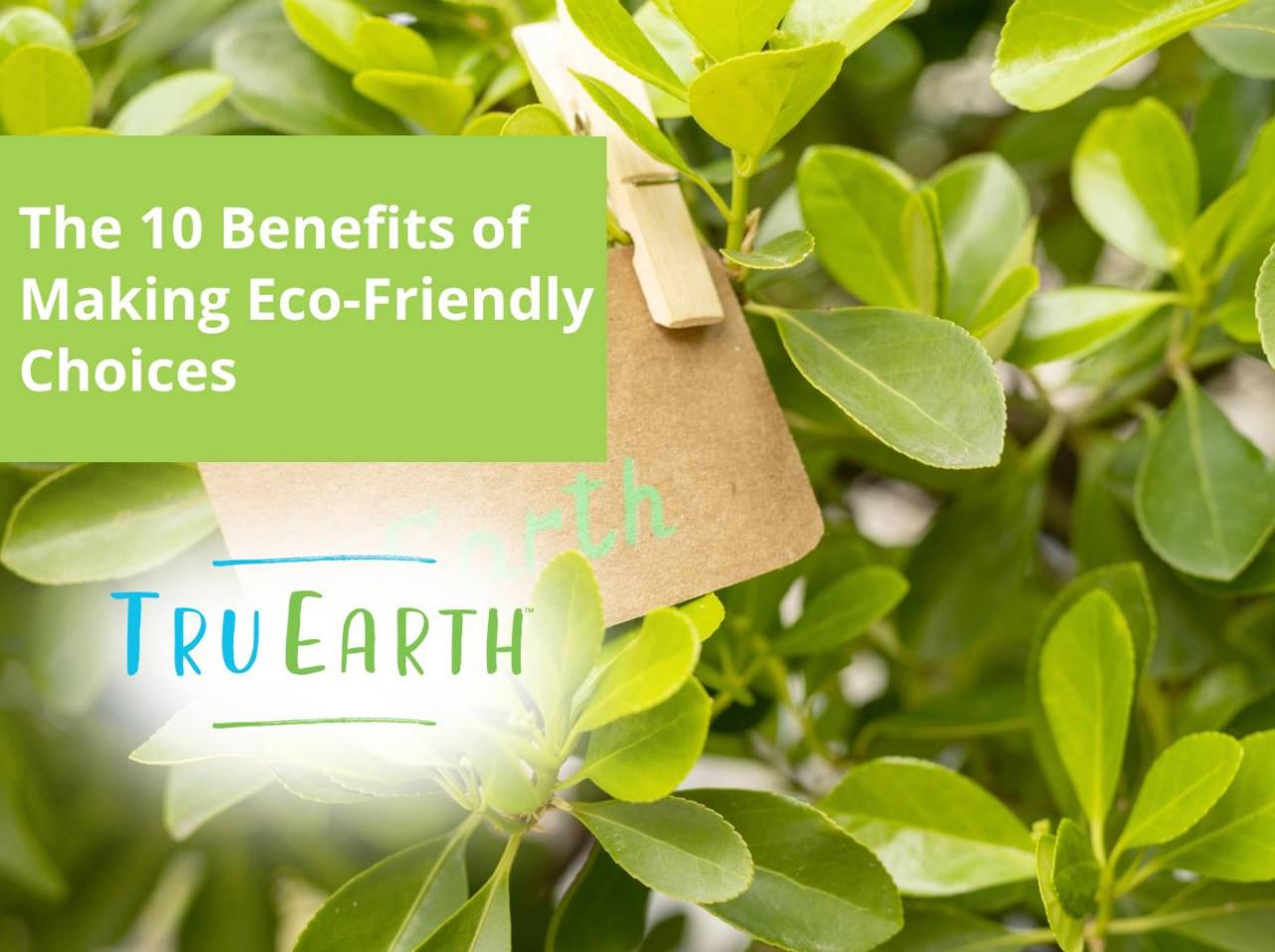The 10 Benefits of Making Eco-Friendly Choices – Tru Earth US The 10 Benefits of Making Eco-Friendly Choices – Tru Earth US
