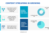 How To Access Regional Content On Streaming Services How To Access Regional Content On Streaming Services