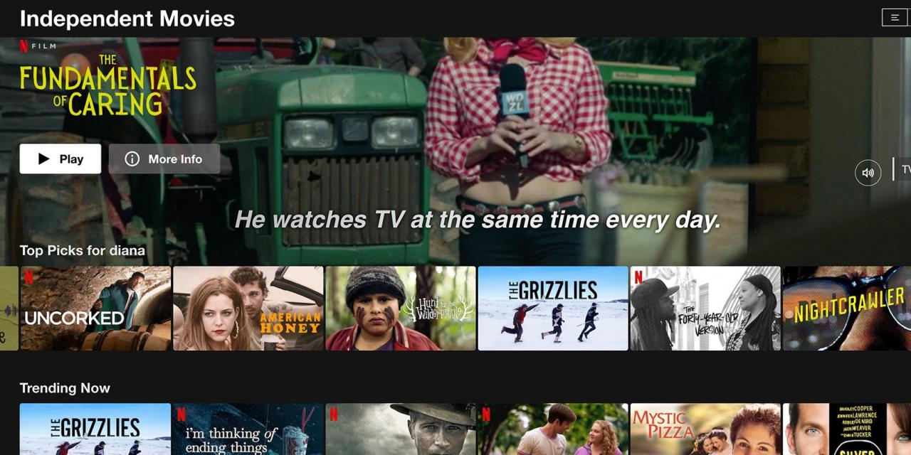 The 11 Best Streaming Services for Fans of Independent Films Best Streaming Platforms For Independent Films Available Today