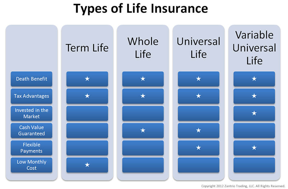 Types of Life Insurance | Term Life Insurance | ChooseTerm.com Types of Life Insurance | Term Life Insurance | ChooseTerm.com