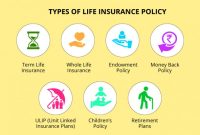 What are the different types of life insurance policies available?