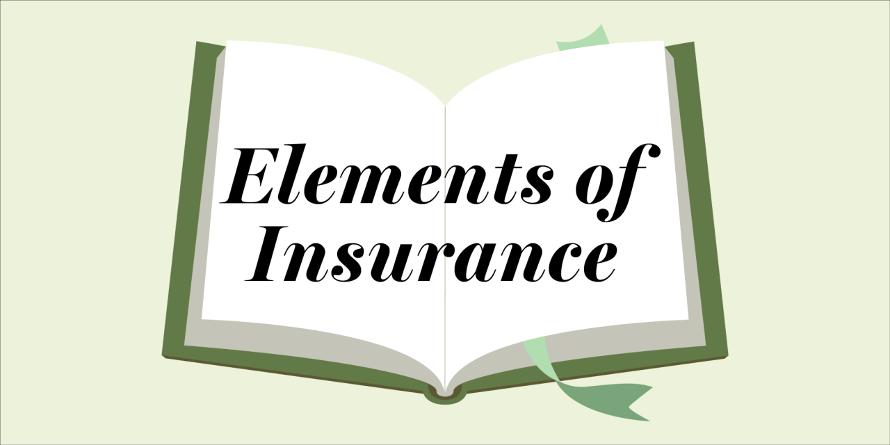 How To Understand Insurance Policy Terminology And Jargon