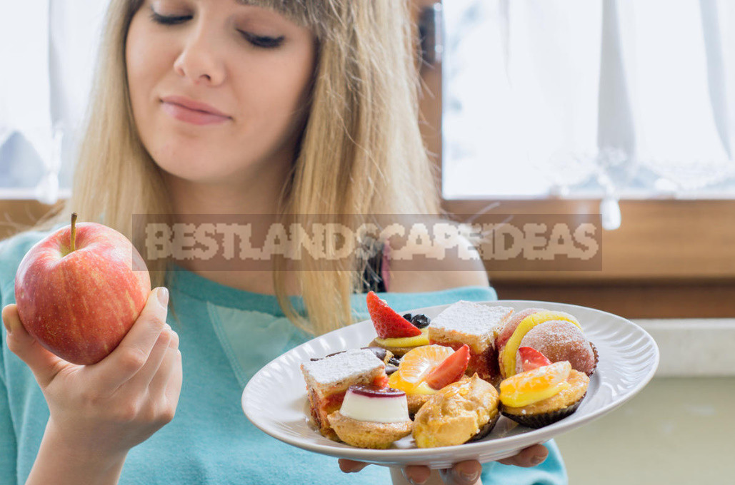 What Are The Common Myths About Healthy Eating